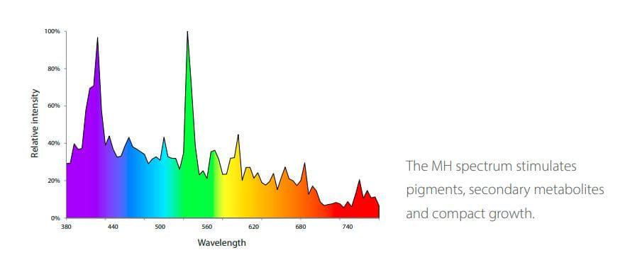 BLV Horturion 1000W 400V DE - Haluro metálico