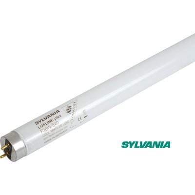 Grow Lamp Maxibright Replacement T5 Fluorescent Lamps