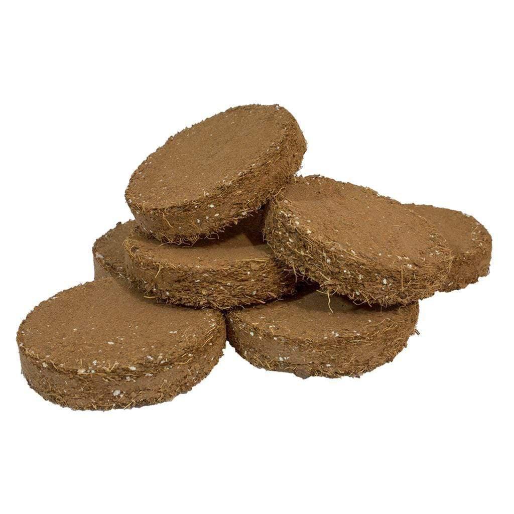 Galletas para macetas Root!T - Paquete de 20