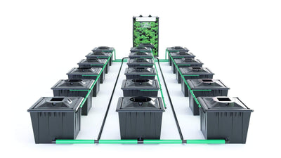 Alien RDWC 18 Pot 36L Black Series