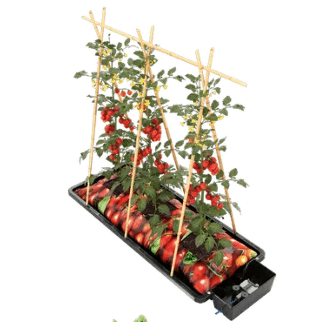 AutoPot Tray2Grow Automated Watering System