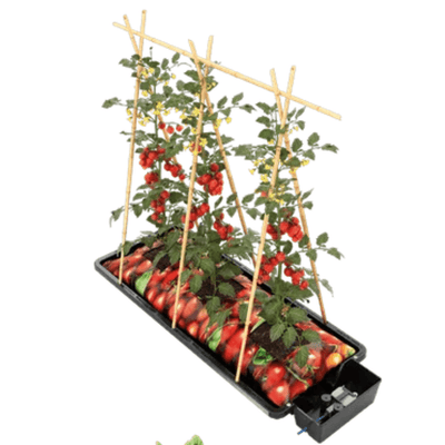 Autopot Tray2Grow Completo