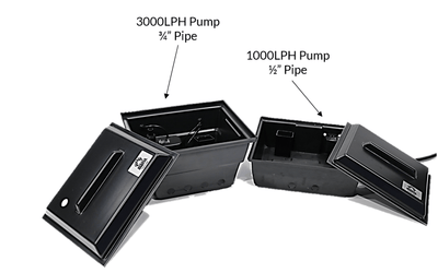 Medusa Baseline Brains RTW