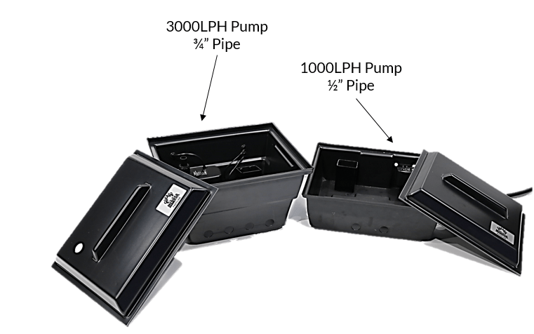 Medusa Baseline Brains RTW