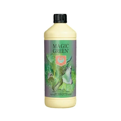 Haus & Garten Magic Green Blattspray | Schnelle Hilfe bei vergilbten Blättern