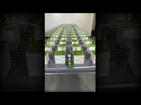 FloraFlex Pressure Gauge + FloraFlex Male Adaptor