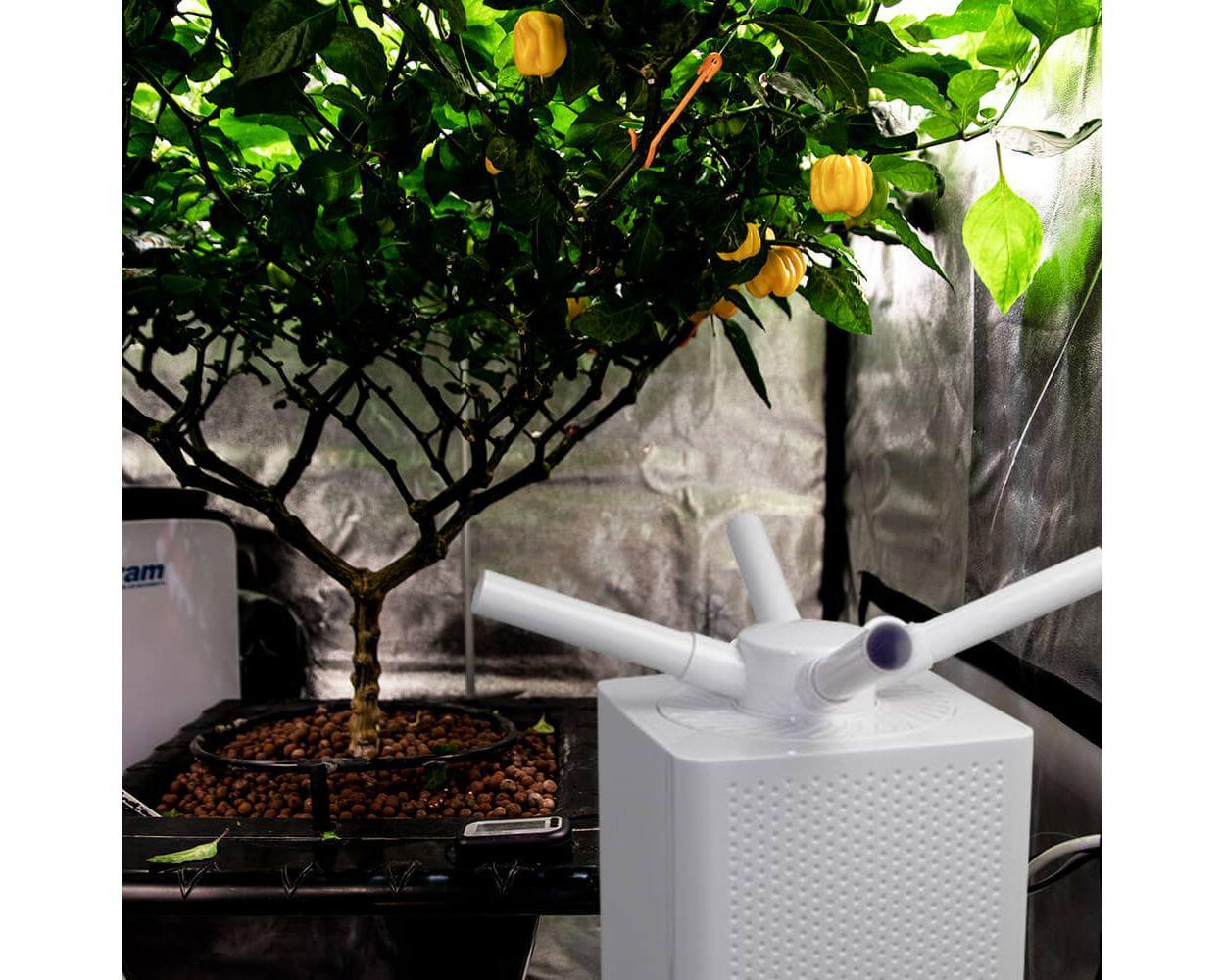 Humidificador Sonic Air de 10 l