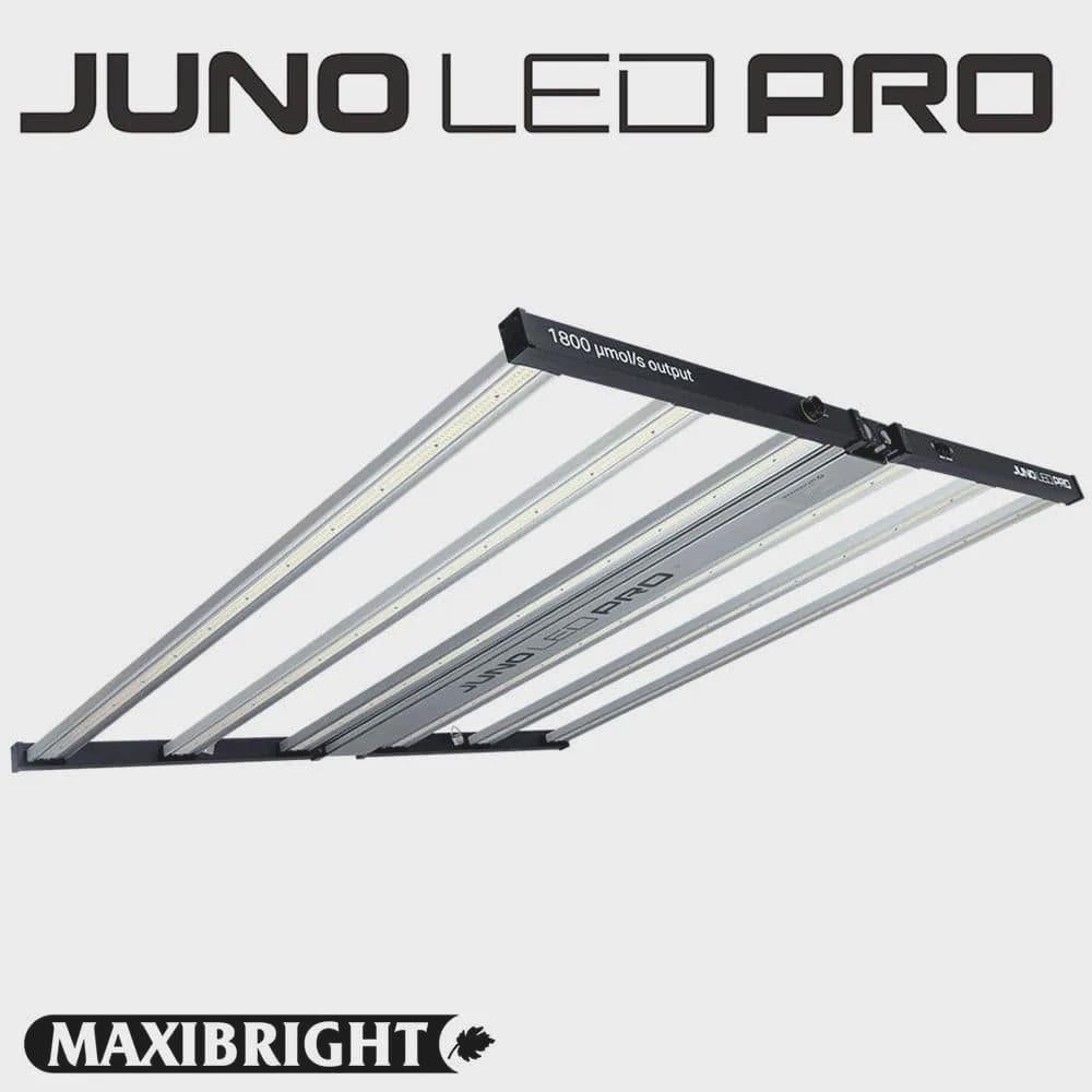 LED Grow Light Maxibright Juno 720w LED Grow Light