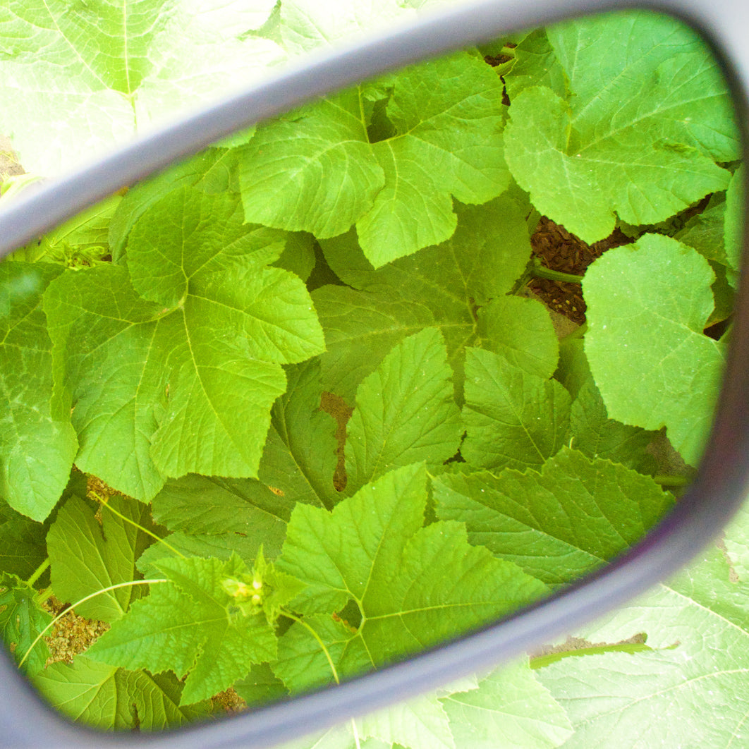 Method Seven Citadel FX LED Glasses