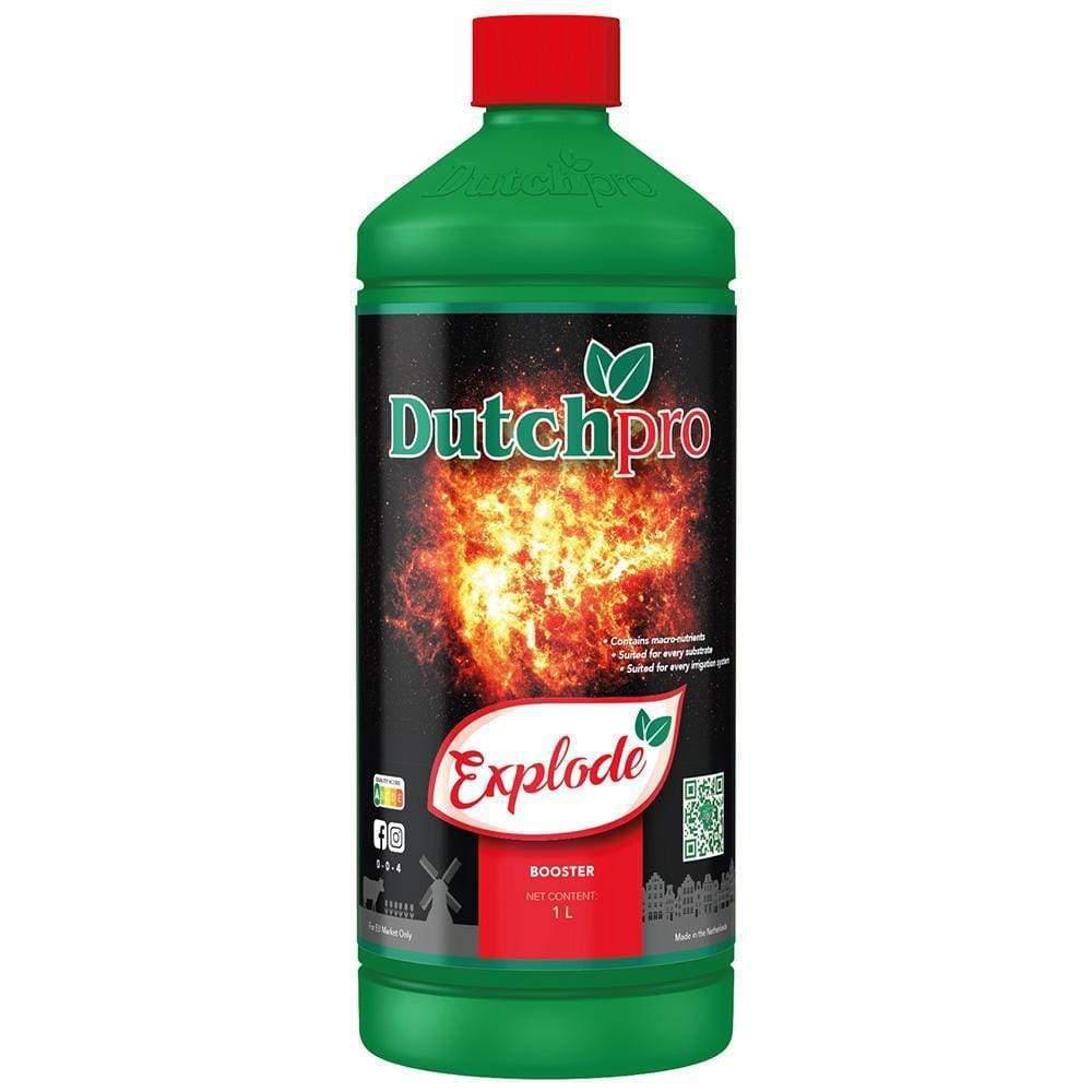 Explosión profesional holandesa