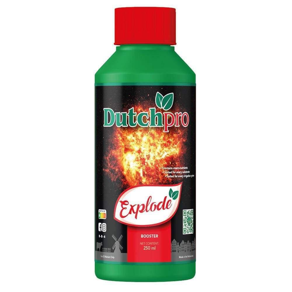 Explosión profesional holandesa