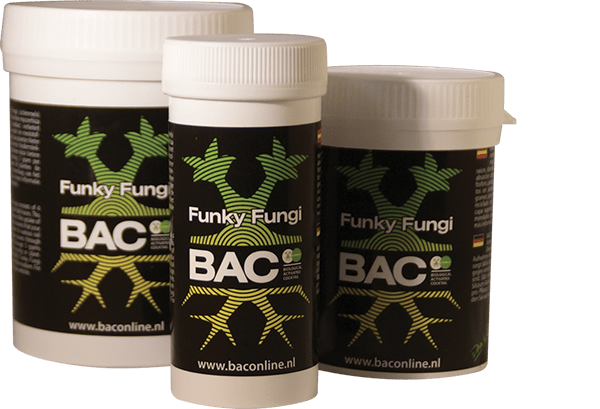 BAC - Funky Fungi