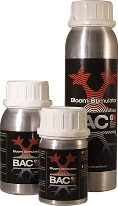 Nutrients BAC - Organic Bloom Stim