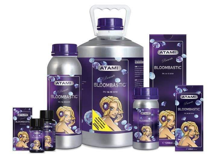 Bcuzz - Atami - Bloombastic