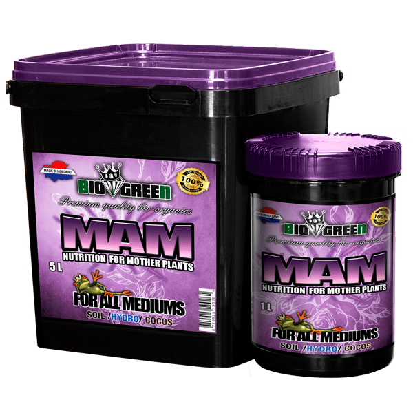 Biogreen - MAM