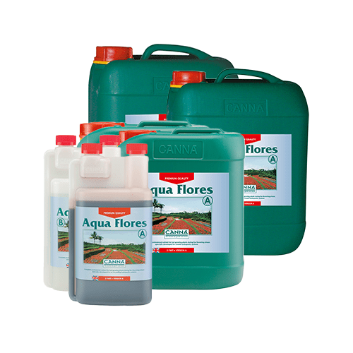 Canna - Aqua Flores AB