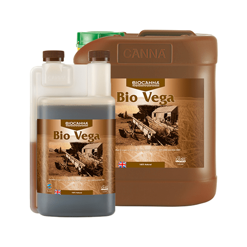 Canna - Bio Vega