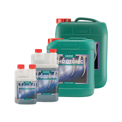 Canna - Rhizotonic