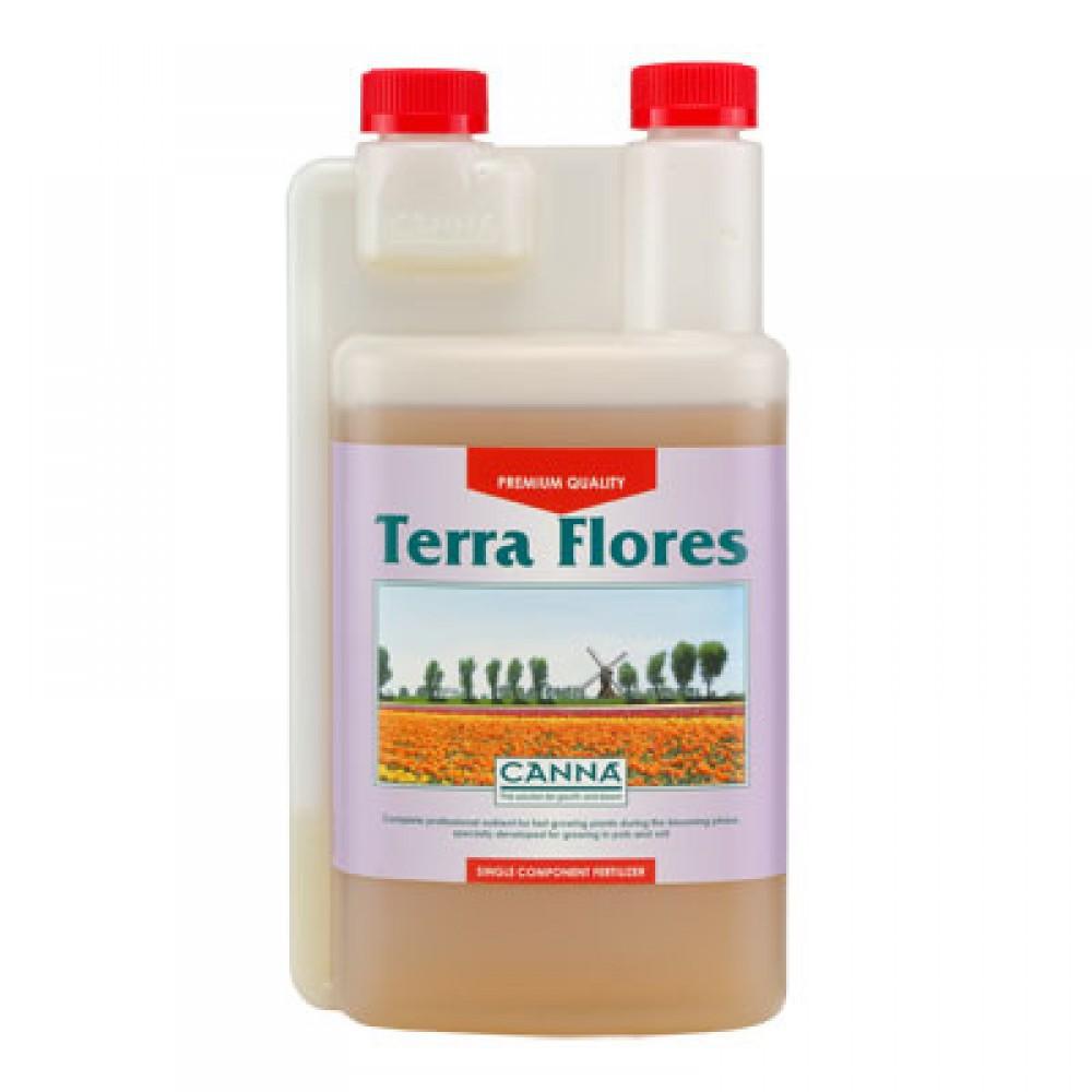 Canna - Terra Flores