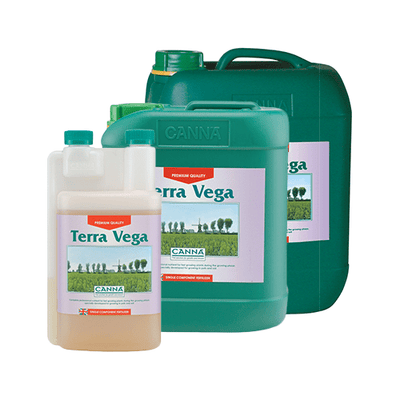 Canna - Terra Vega