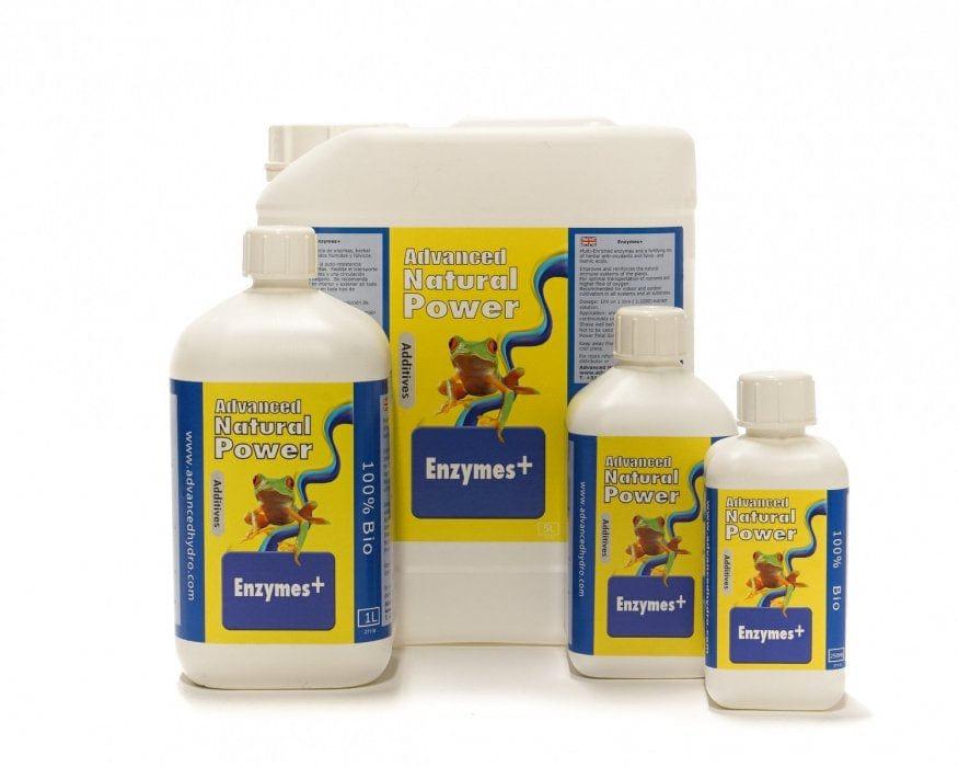 Dutch Formula Enzyme+