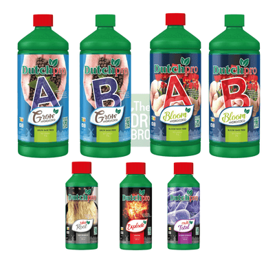 Dutch Pro Hydro / Coco Starter Kit