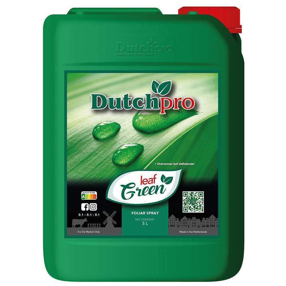 Hoja verde Dutch Pro