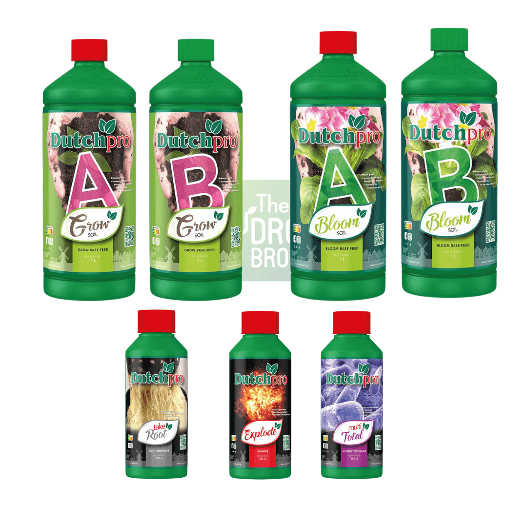 Paquete de inicio de suelo Dutch Pro