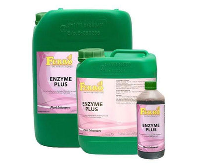 Ferro - Enzima Plus