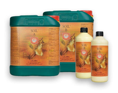 Casa y Jardín - Suelo A y B