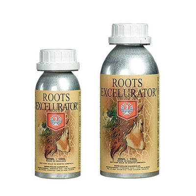 House & Garden - Silver Roots Excelurator