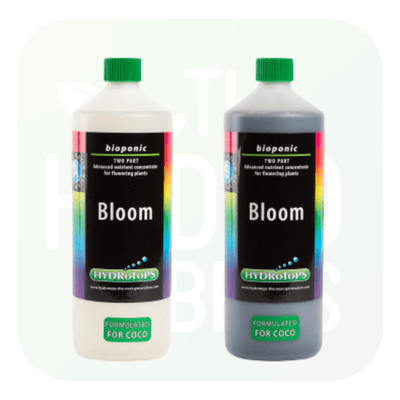 Hydrotops Coco Bloom AB