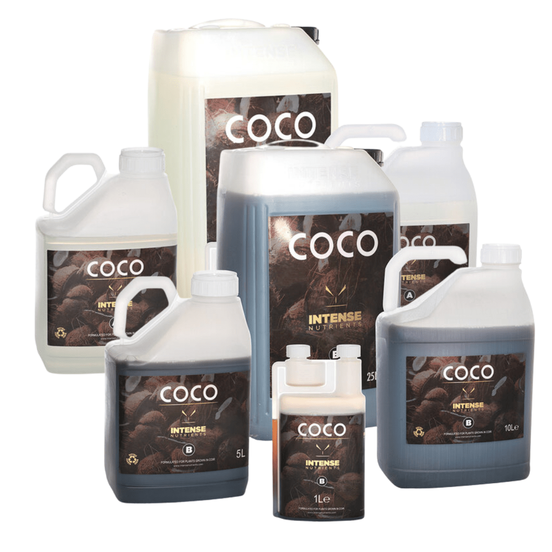 Nutrientes intensos Coco AB