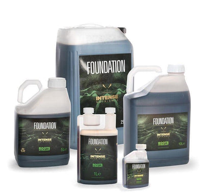 Fundación de Nutrientes Intensos