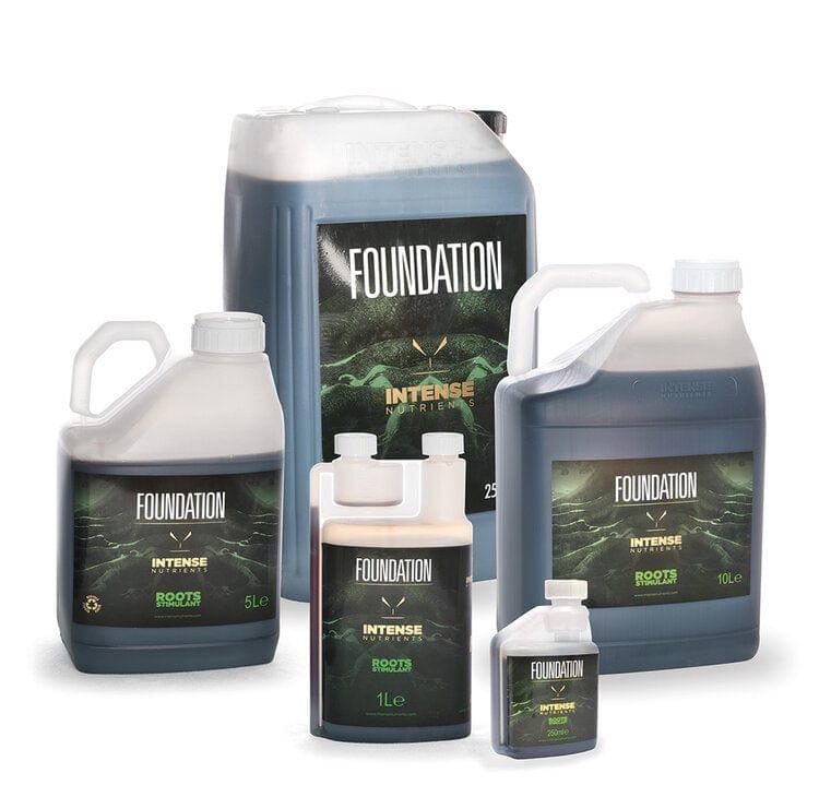 Intense Nutrients Foundation