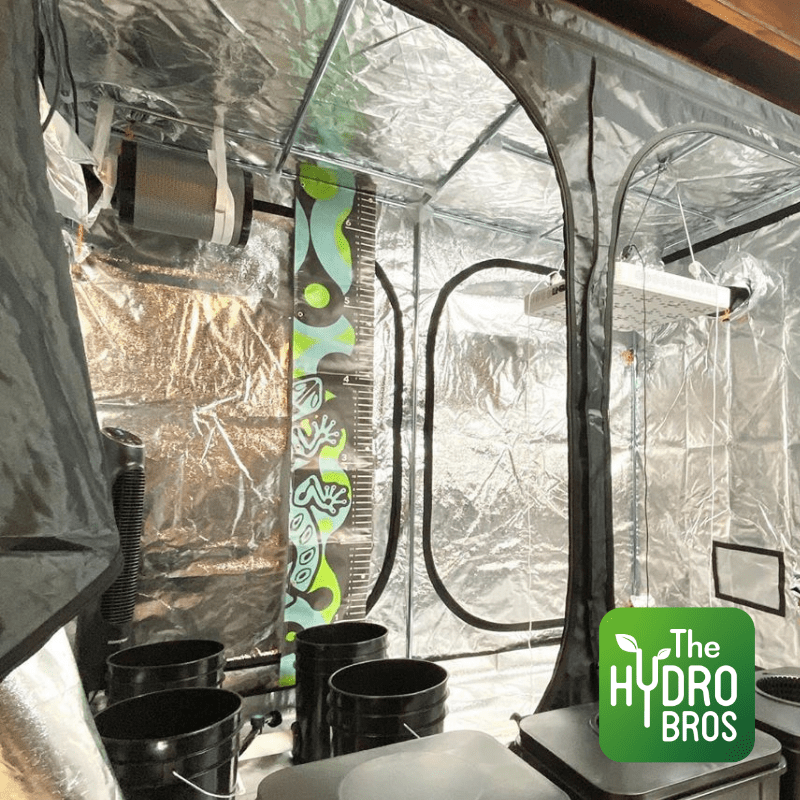 Nute Tools - La regla Nute