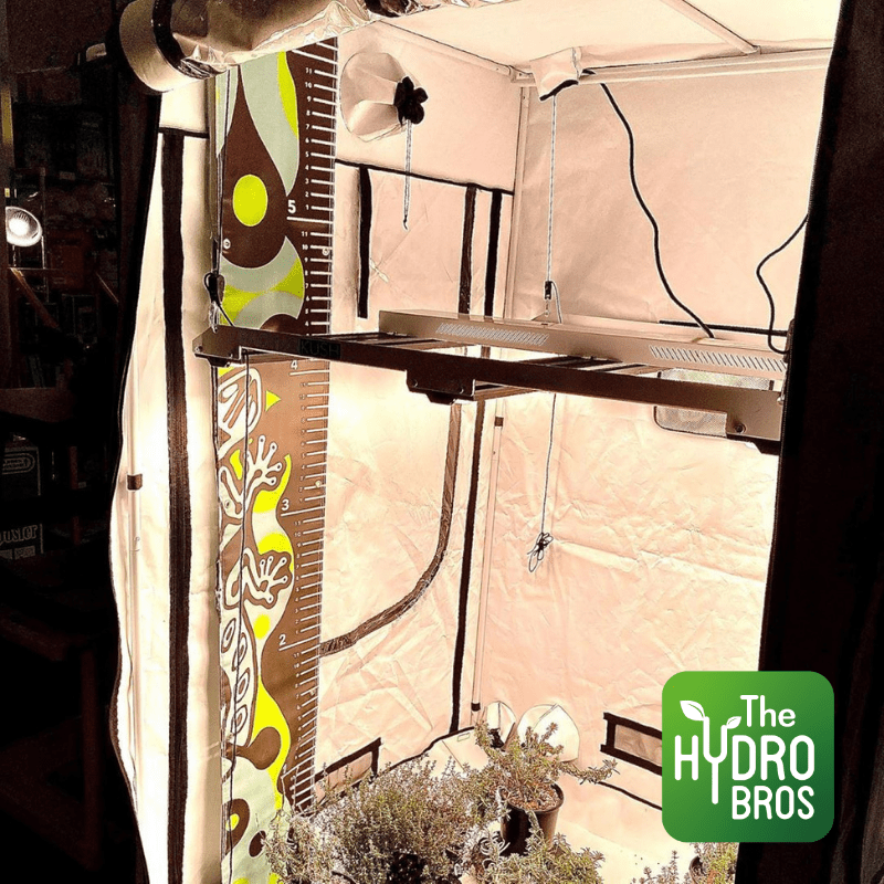 Nute Tools - La regla Nute