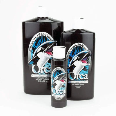 Éxito de las plantas - Orca