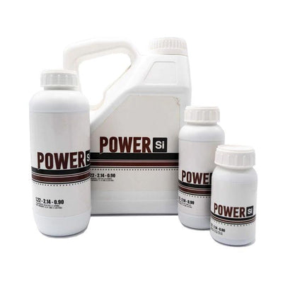Power Si Original - Silicic Acid