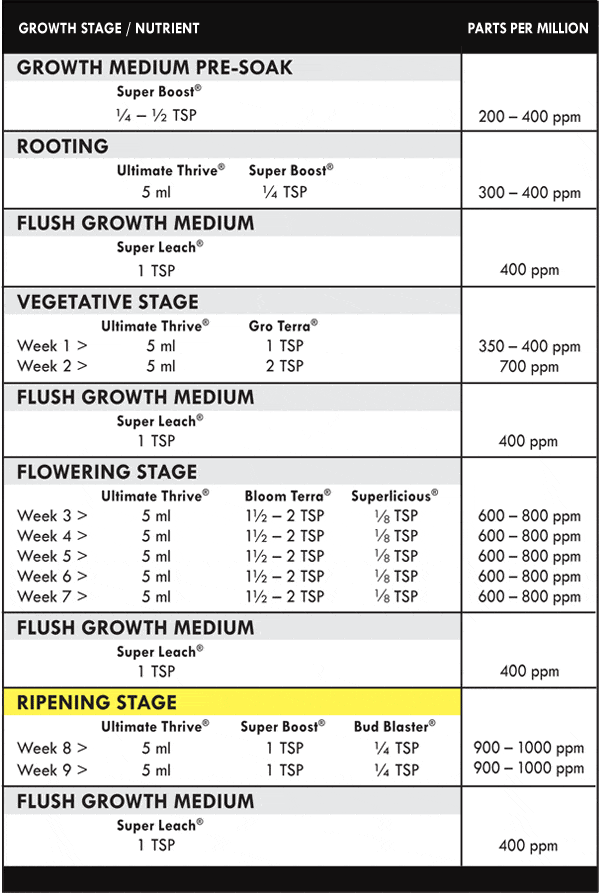 Explosión de brotes sobrenatural