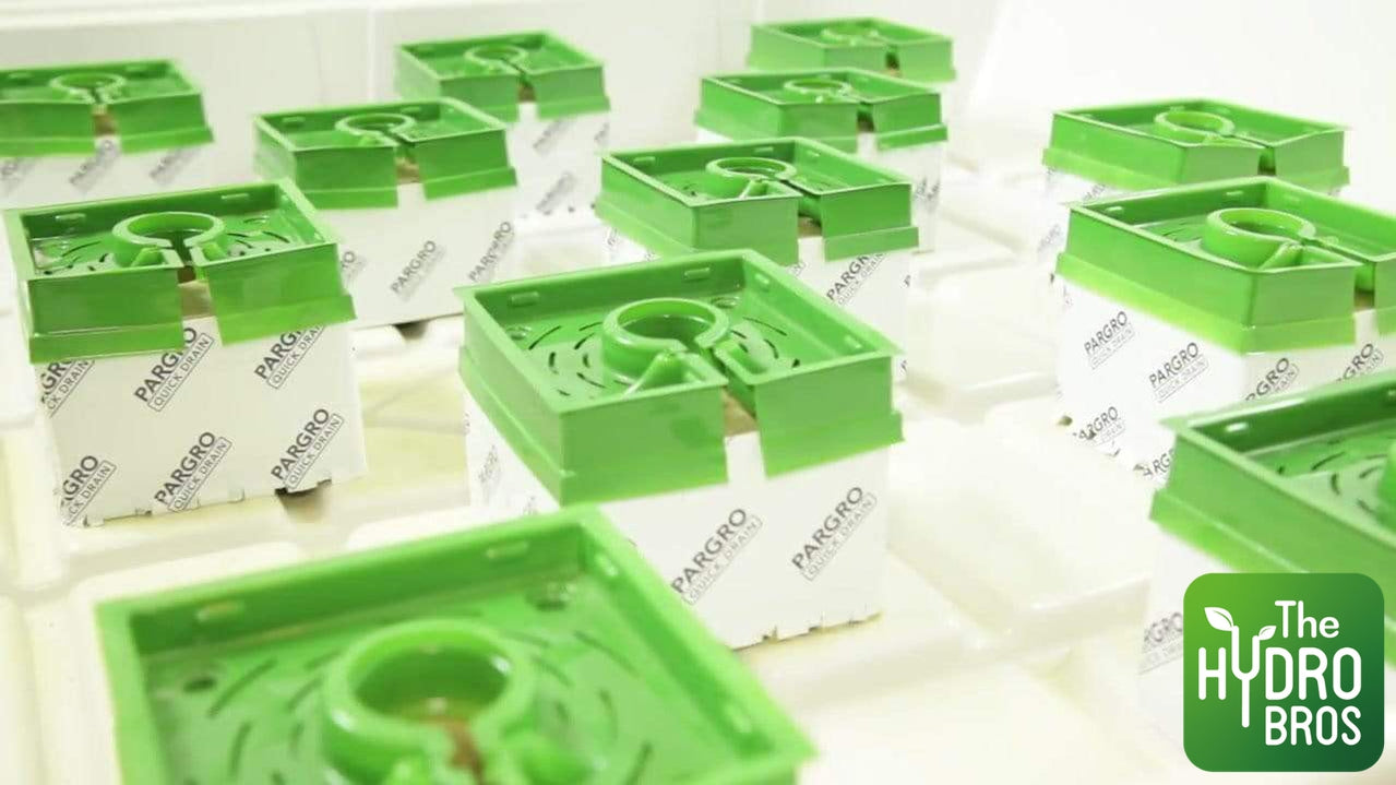 FloraFlex Single use Flora Cap (Soft Plastic)