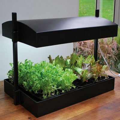 Guirlande Grow Light Garden - Noir 48w