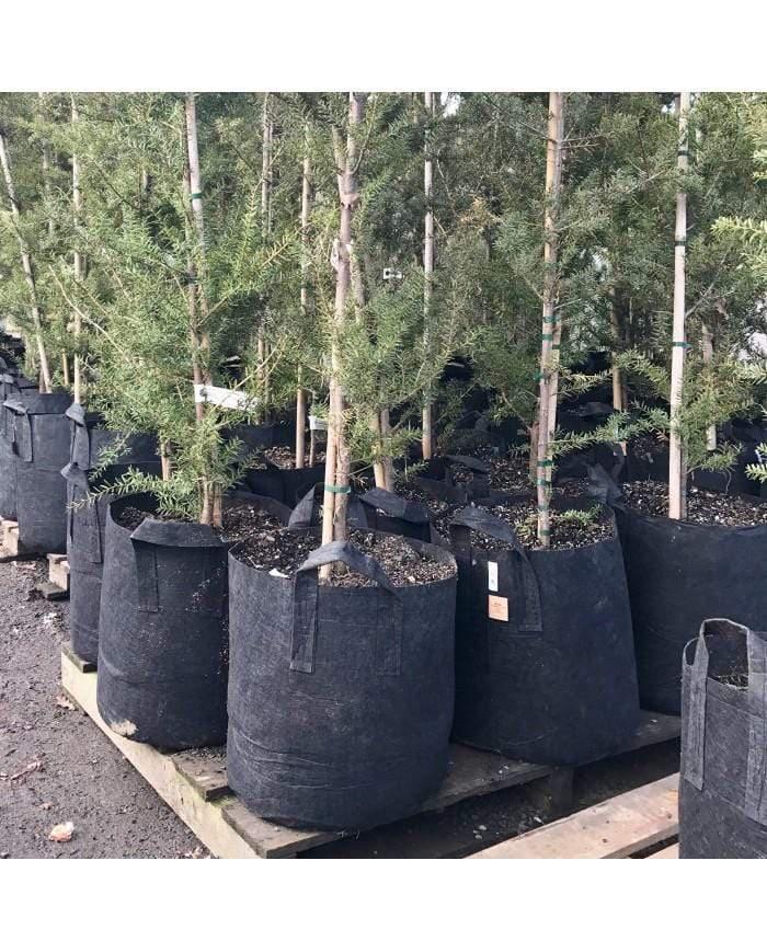 Maceta de tela REDONDA