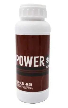 Power Si - Bloom (Abgelaufener UK-Lagerbestand)