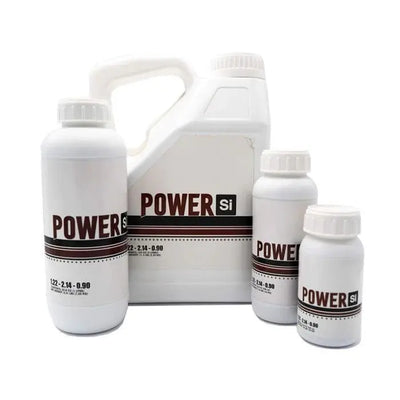 Power Si Original - Kieselsäure (abgelaufener UK-Lagerbestand)