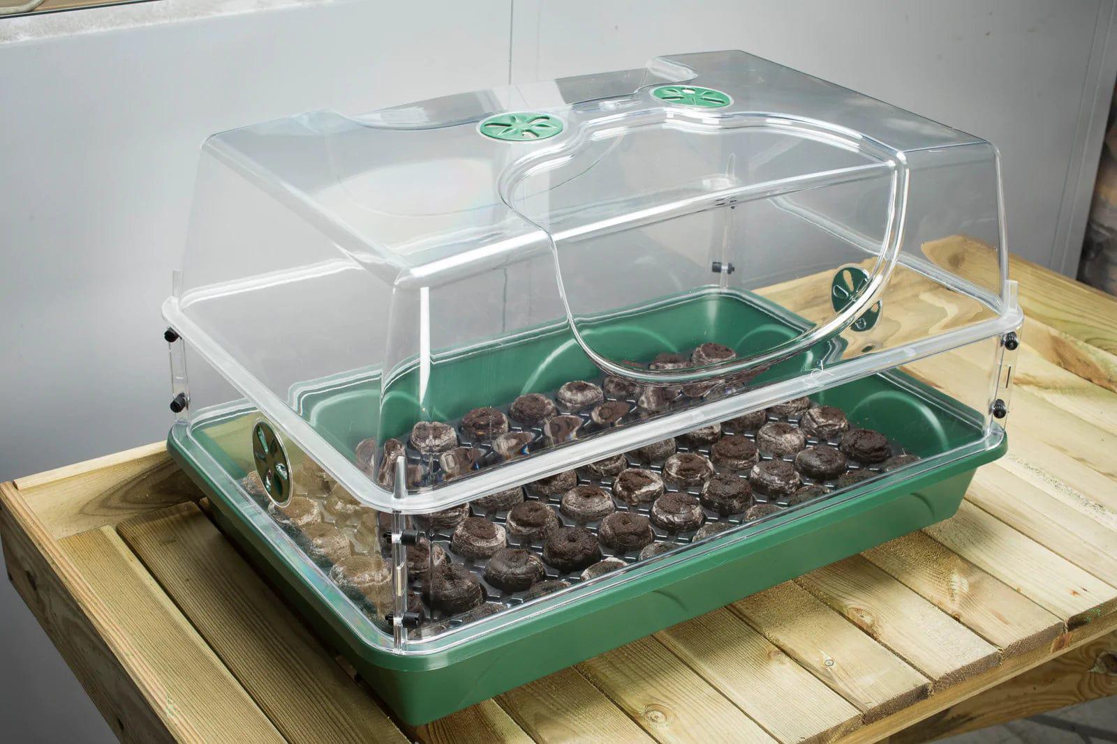 Large Domed Propagator with Single Height Extender Set