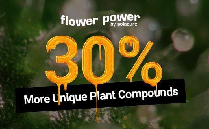 Solacure Flower Power UVB Complete Grow Light - 1m Dual Kit