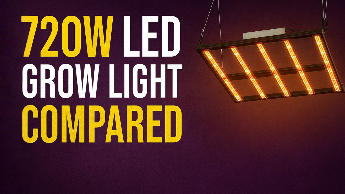 720W LED Grow Light Comparison: Which One Actually Delivers?