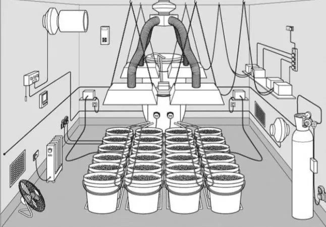 Starting a Grow?