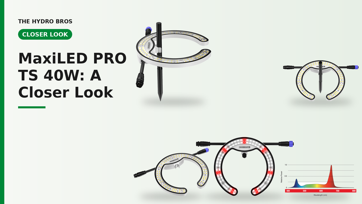 Maxibright MaxiLED PRO TS 40W Review: A Closer Look at the Horseshoe Under Canopy LED